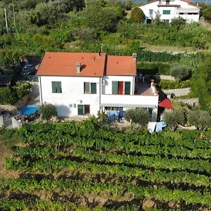 Panzió In Vino Veritas, Arcola